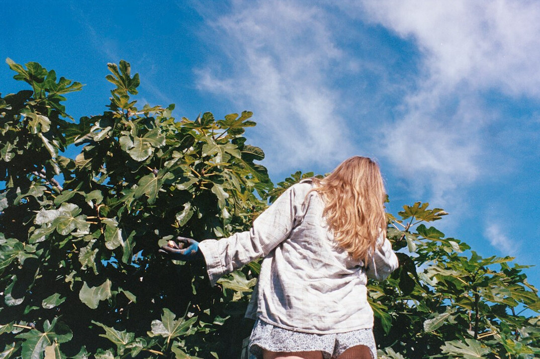 person gardening in backyard